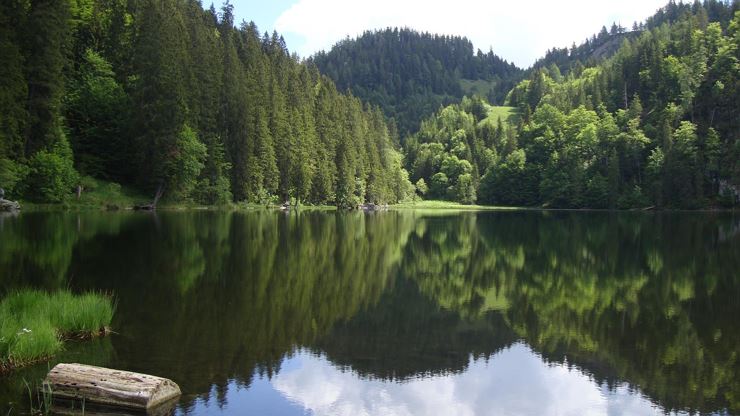 Geführte Bergsee - Wanderung zum Taubensee