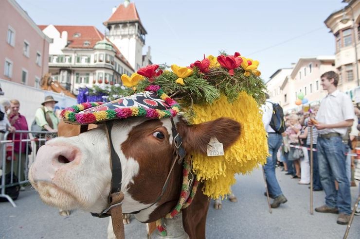 Almabtrieb mit Fest in der Stadt