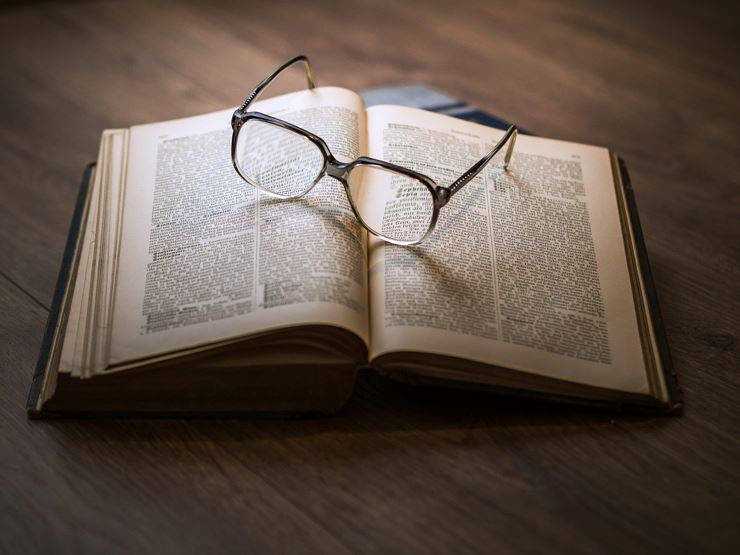Literatur beim Altwirt